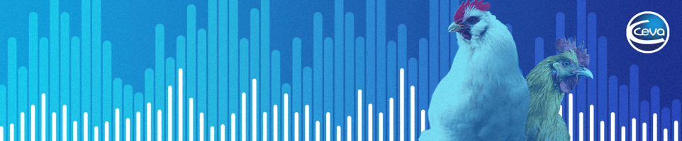 FINAL_Banner-1250x260-CevaPoultrySounds