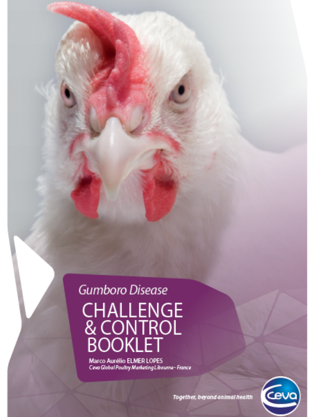 Gumboro LP page vignette