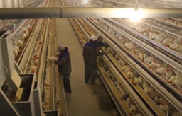 IMVAC_blog-article-Image1-Feb-06-2026-04-40-14-4569-PM