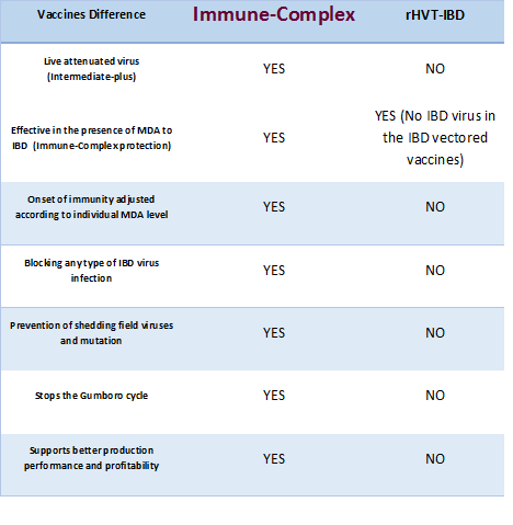 differences immune complex and HVT IBD