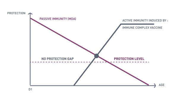 img-ibd-mod2-prancheta