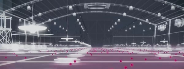 img-ibd-poultryhouse-virus