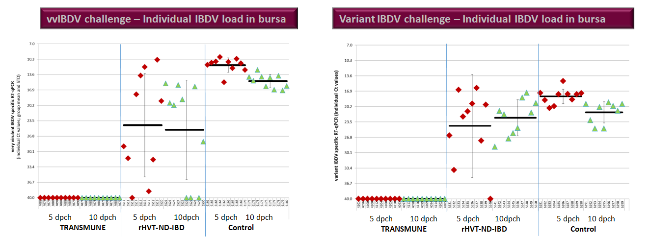 trial challenge variants-1