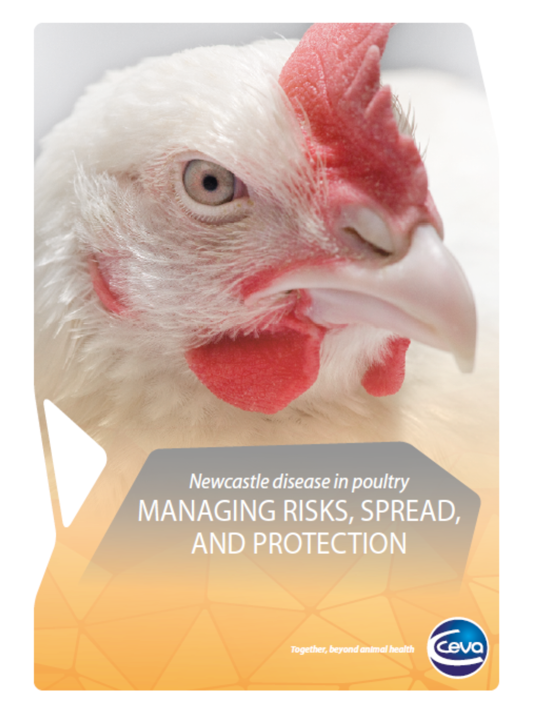 ND ebook - 1 facette (Étiquette (vertical))