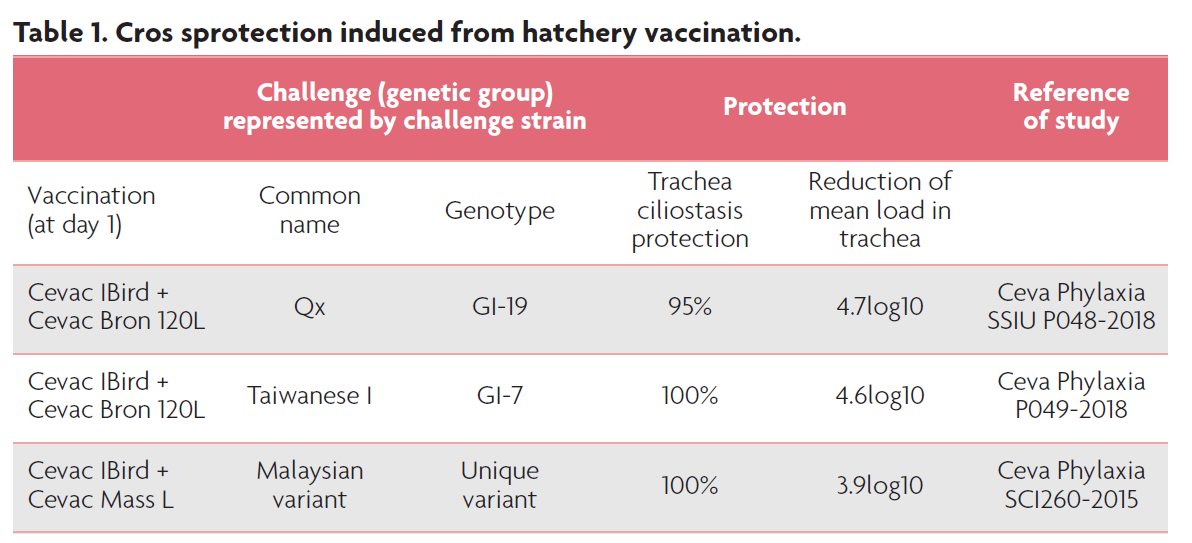 Table protection vaccines