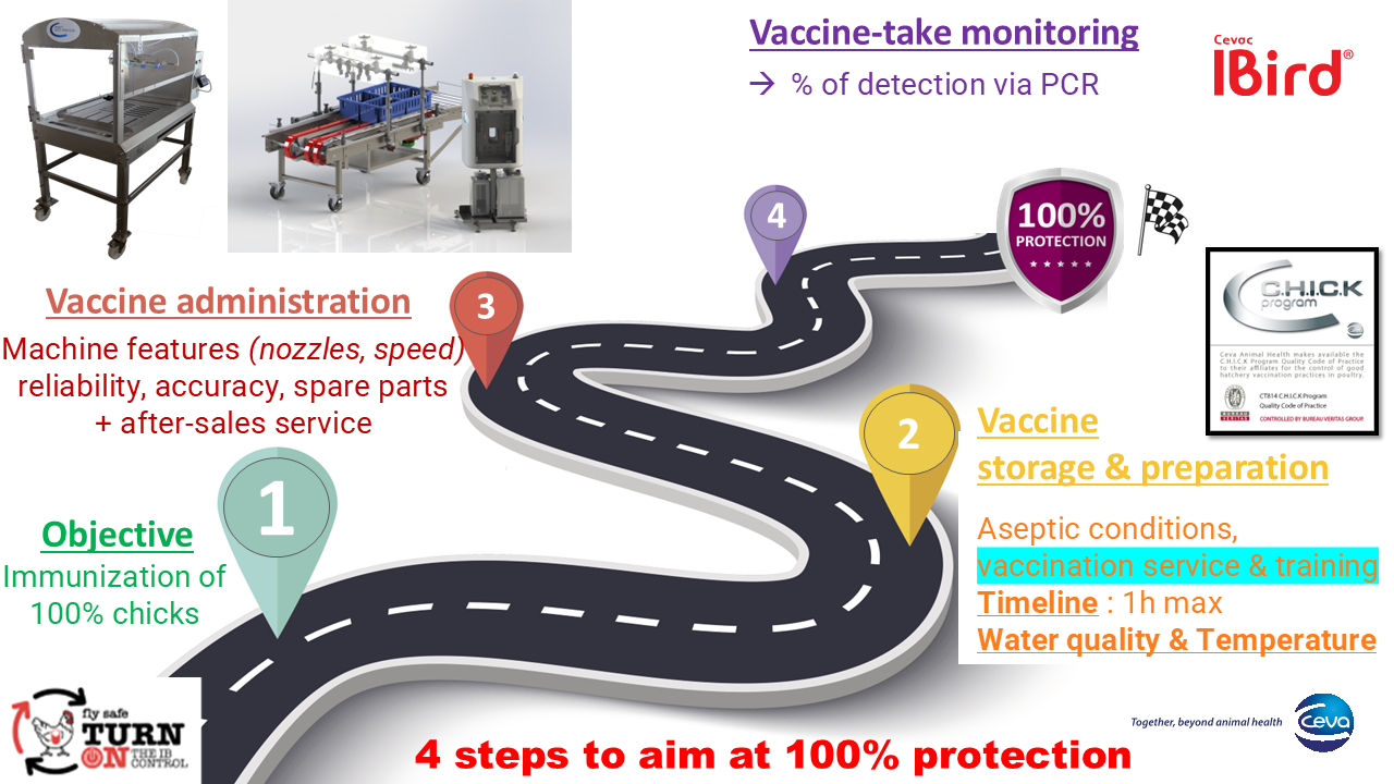 pour_maria_hubspot (1) blog1 last visual