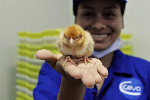 © Ceva Santé Animale