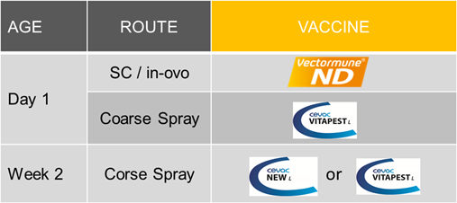 Newcastle Disease-age-route-vaccine 