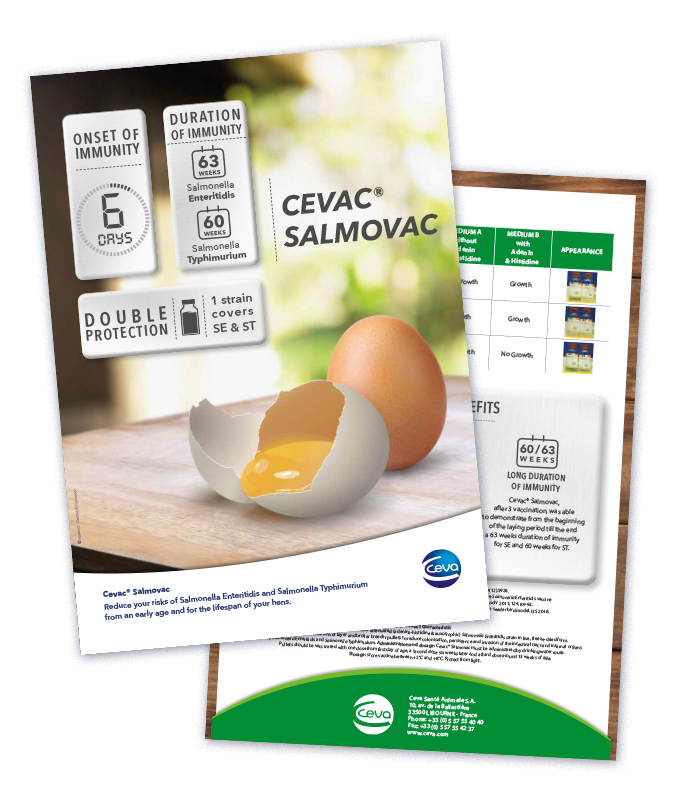 Vignette-685x800-Salmovac-1 Vignette-685x800-Salmovac-1