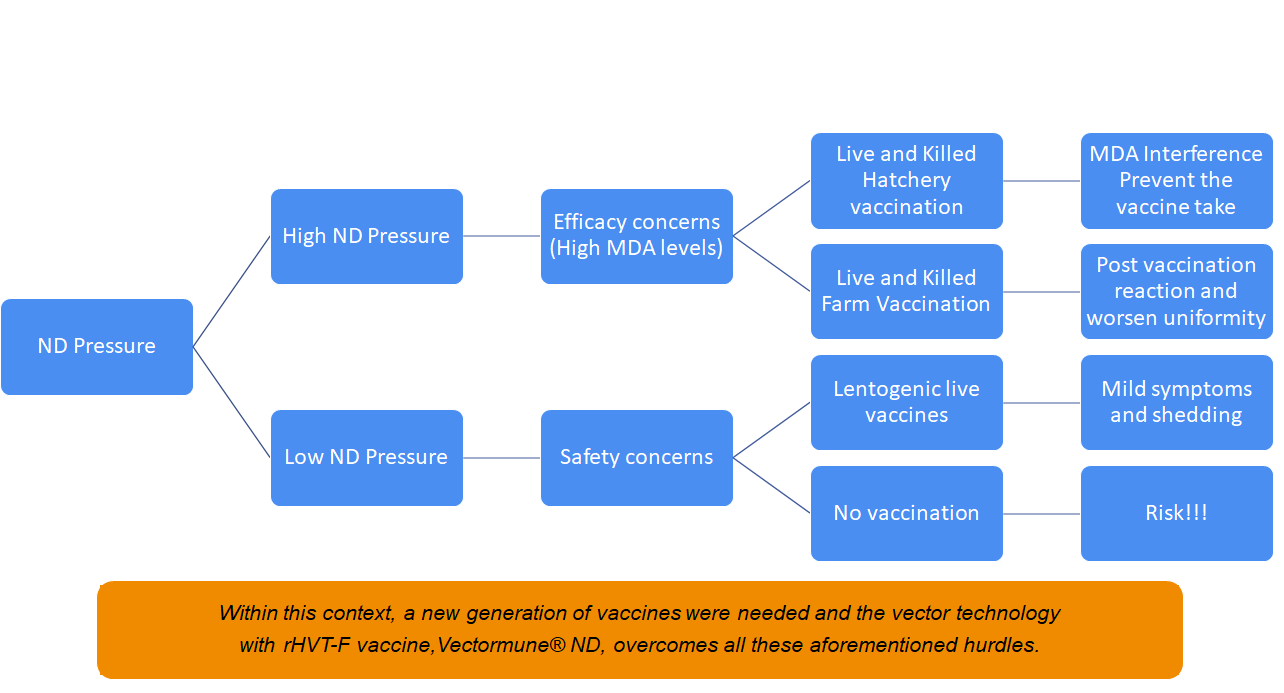 VECTOR (RHVT-ND) VACCINE FOR NEWCASTLE DISEASE